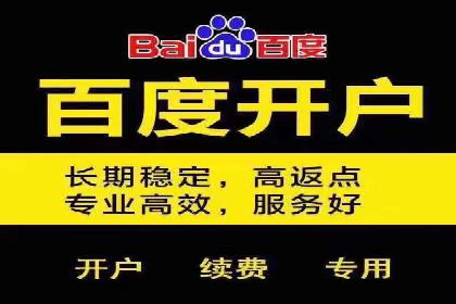 某旅游网站SEM优化案例：如何吸引目标用户